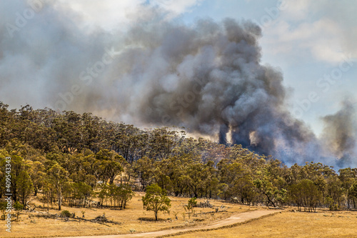 A bushfire burns in Australia