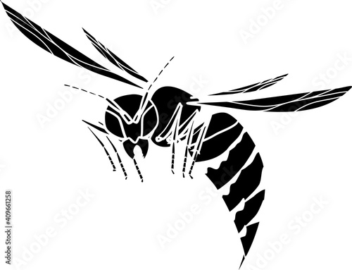 Black silhouette of flying European hornet (Vespa crabro) isolated white on background