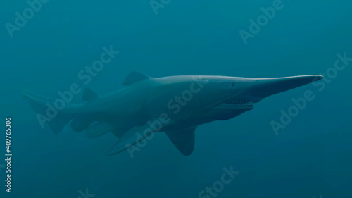 Goblin Shark (Mitsukurina owstoni), 3D rendered