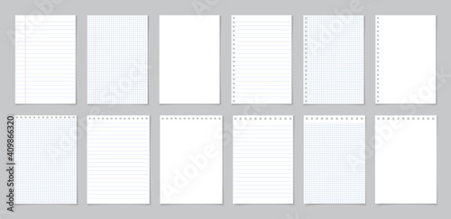 Paper with line and grid. Page of school notebook. White sheet for note. Notepad with texture. Template of notepaper isolated on gray background. Blank letter of diary for homework, write. Vector