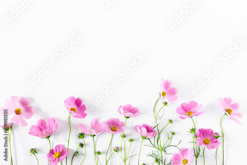 Beautiful flowers composition. Pink cosmos flowers on white background. Flat lay, top view, copy space