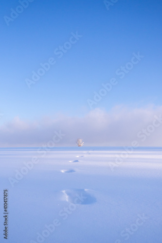 Winter Wonderland with blue sky and clouds and footprints in deep snow