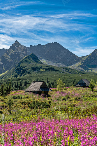 Hala gąsienicową, Koscielec, tatry wysokie, tatry polskie