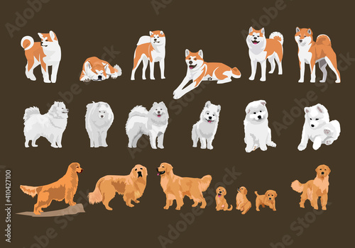dogs and puppies vector set