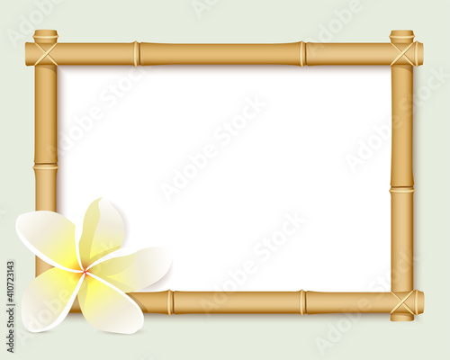 Bamboo and a plumeria flower bordering an empty frame 