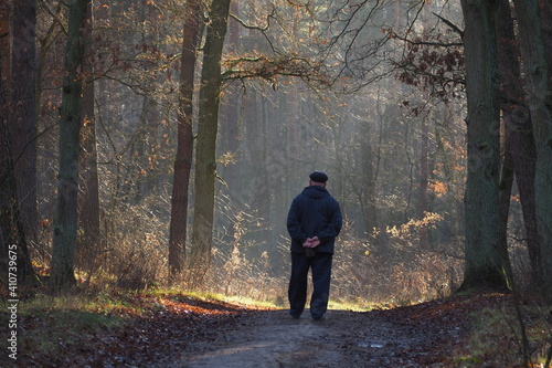 Człowiek idący po drodze w lesie wśród wysokich drzew