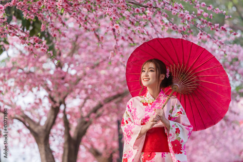 woman in yukata (kimono dress) holding umbrella and looking sakura flower or cherry blossom blooming in garden