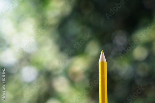 pencils on a wooden background