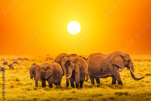Artistic fantastic african sunset landscape. African elephants in Serengeti National Park. Tanzania, Africa at a sunset.