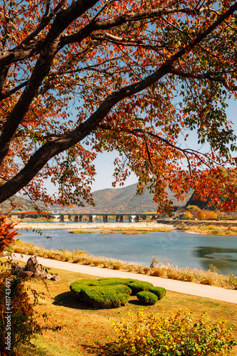Miryang riverside park and autumn maple in Miryang, Korea
