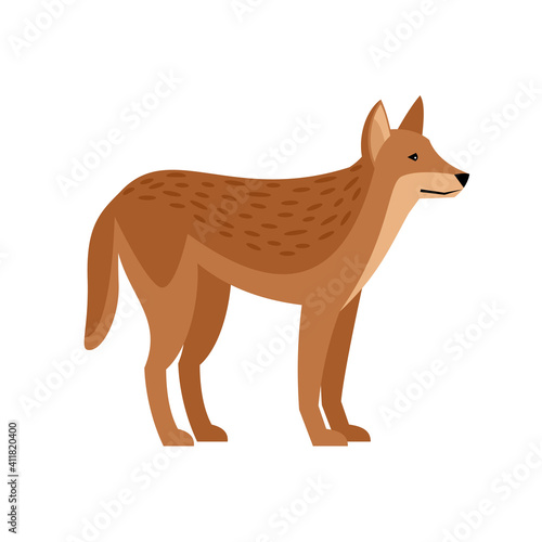 Exotic wild dog. Cartoon redhead character of wildlife, aggressive beast of nature, vector illustration of dingo isolated on white background