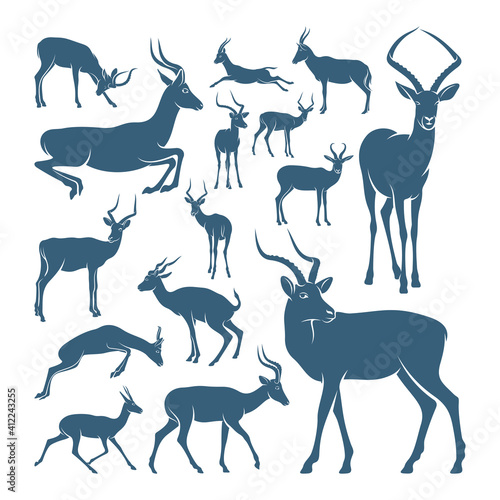 Set of Antelope design vector illustration, Creative antelope logo design concepts template, icon symbol