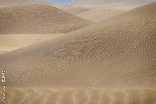 Golden Sand Dunes Wind Pattern