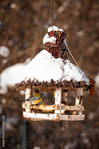 Karmnik dla ptaków na zimę 