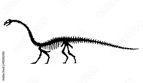  silhouette of dinosaurs skeleton. Hand drawn dino skeleton. Dinosaur bones, exhibit fossils in the museum