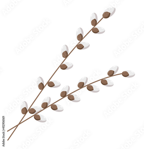 Spring twigs easter blossom pussy willow tree, vector flat illustration isolated on a white background.