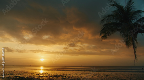 Low tide beach sunset view with palm tree