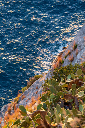 Palmi (Reggio Calabria) Italy