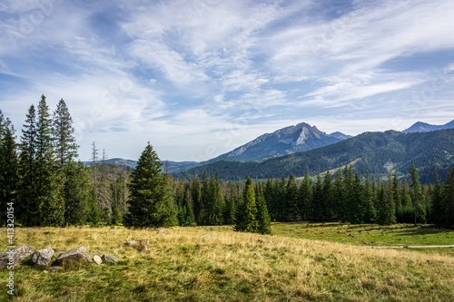 Sunny glade - Rusinowa Polana, Tatra Mountains, Poland