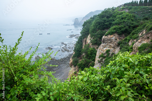 Aerial shot of trees and greenery on a cliff near the sea