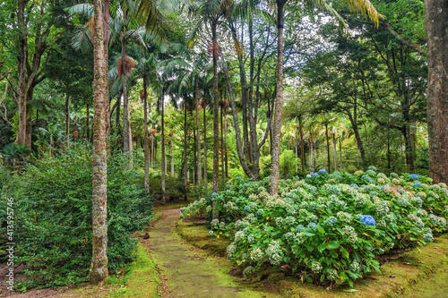 Terra Nostra Botanical Garden in Furnas, Sao Miguel Island, Portugal