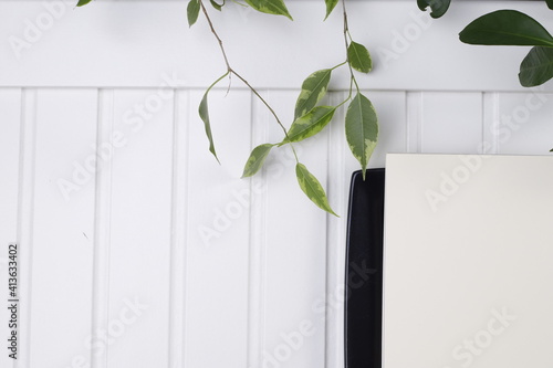 Biały drewniany blat listki zielone talerz czarny