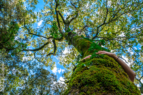 Low angle view of woman's hands hugging moss covered tree trunk