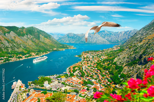 Seagull and bay of Kotor