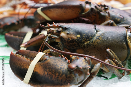 Fresh lobster in the market