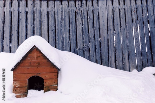 The doghouse is covered with white snow against the background of a wall of wooden boards. Rustic lifestyle