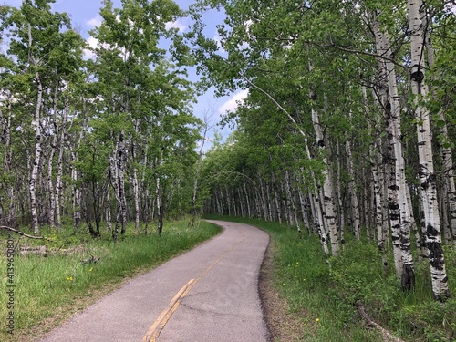 Beautiful Fish Creek Park during the summer in Calgary, Alberta, Canada 