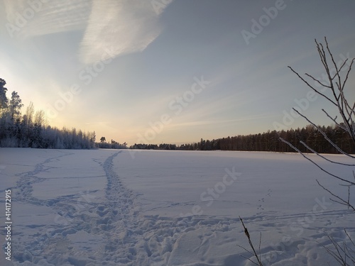 Field of Finland on winter day with far away forest trees