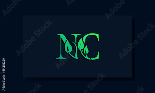 Minimal leaf style Initial NC logo