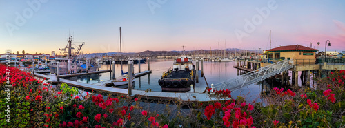 A panorama of a calm harbor of ships under a pink sunset with red and pink bougainvillea plants in the foreground. There are multiple ships in the harbor, with white docks visible. 
