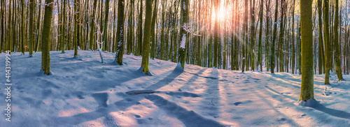 zimowy dzień w rezerwacie Kamienna Góra na Warmii w północno-wschodniej Polsce