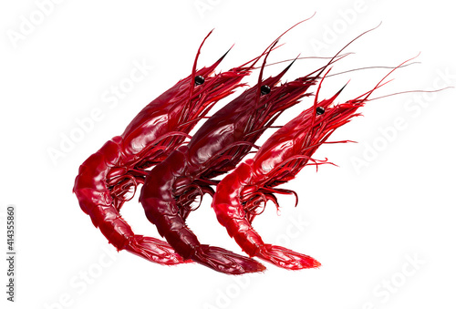 CARABINEROS, MARISCO 