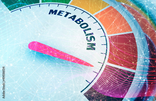 Metabolism level scale with arrow. The measuring device icon. Sign tachometer, speedometer, indicators. Infographic gauge element. 3D rendering