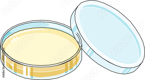 Petri dish filled with nutrient agar medium with half-covered lid used in microbiology for bacterial culture purposes