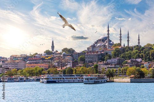A Seagull flies by the Suleymaniye Mosque in the Golden Horn inlet, Istanbul