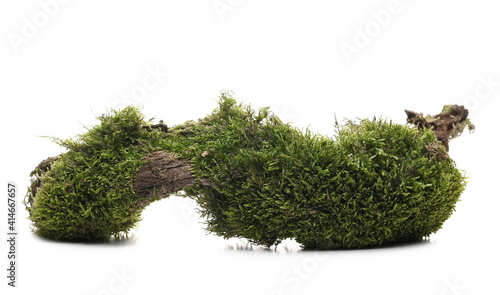 Moss on tree bark, mossy wood isolated on white background