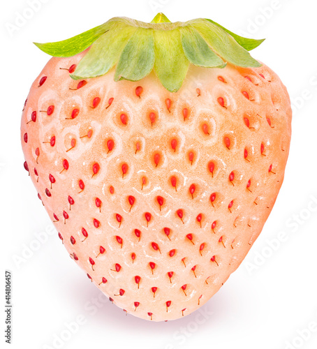 Fresh white strawberries isolated on white background, Pine berry or Hula strawberry on White Background With clipping path.