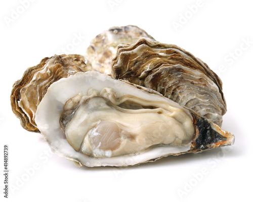 Fresh opened oyster on white background