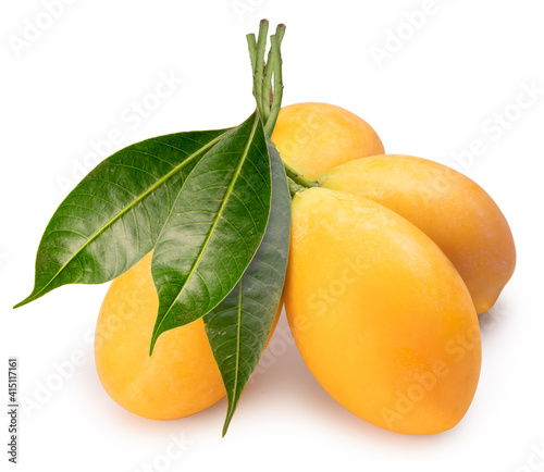 Sweet Yellow Marian Plum isolated on white background, Tropical fruit Marian Plum, Mayongchid, Maprang, on white background With clipping path.