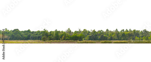  Panorama View of a High definition Treeline isolated on a white background.