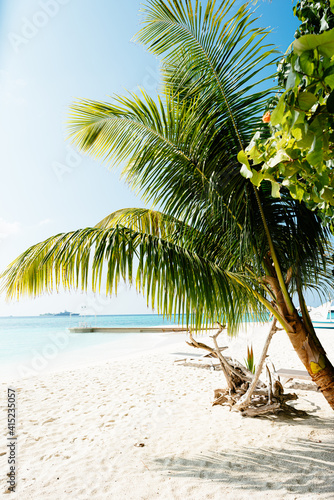 Tropical beach. leaves of palm trees sticking out from the corners of the frame. Palm tree, leaves in front of the blue sea