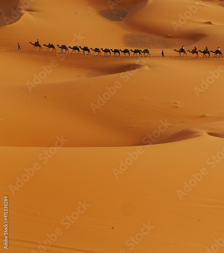 procession of camel caravan in sakhara desert
