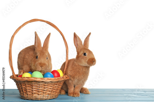 Cute fluffy bunnies and wicker basket with Easter eggs on light blue wooden table