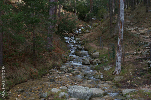 strumień woda górski las kamienie
