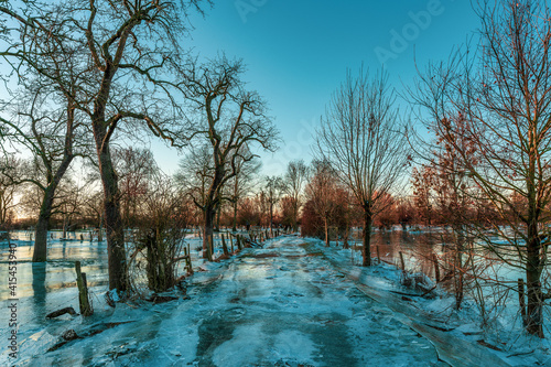 Frozen fields after flooding in Düsseldorf, Germany.