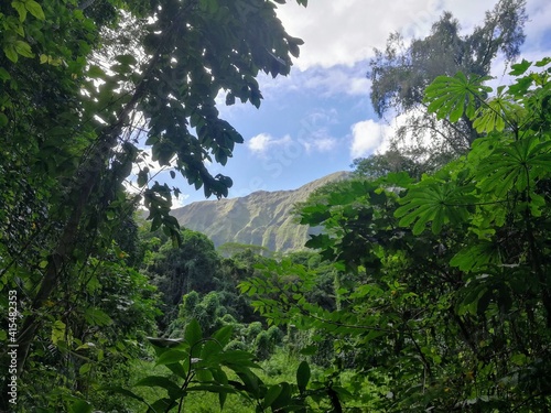 Maunawili Falls in O'ahu, Hawaii - January 2020